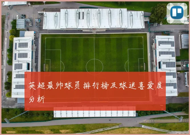 英超最帅球员排行榜及球迷喜爱度分析