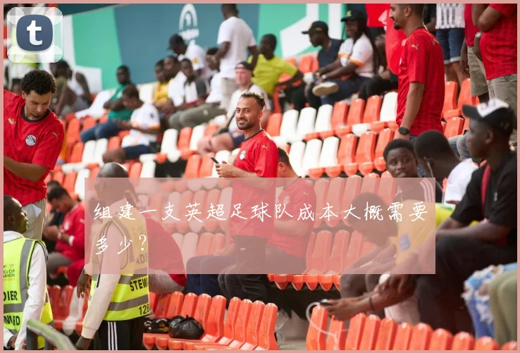 组建一支英超足球队成本大概需要多少？